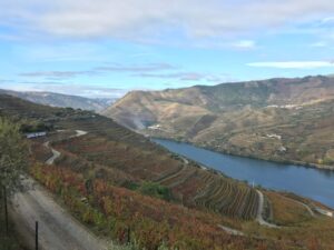 Vallée du Douro au Portugal