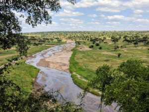 Parc de Tarangire en Tanzanie