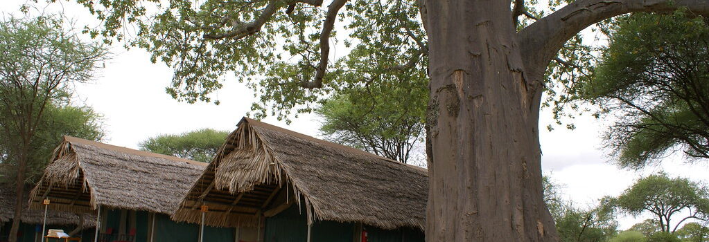 Logement dans Tarangire