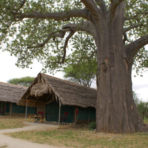 Logement dans Tarangire