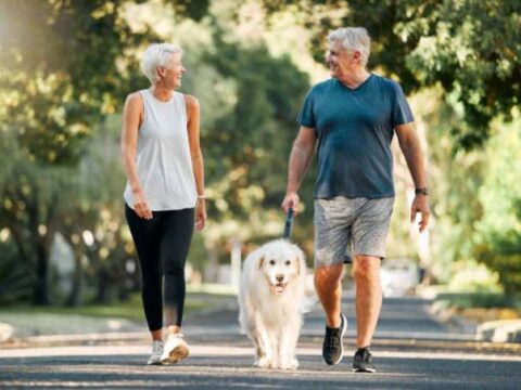 Comment bien socialiser votre chien ? Conseils pour des interactions réussies