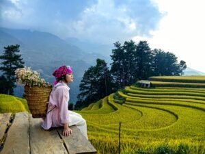 Circuit Nord Vietnam : nature, culture et paysages d'exception