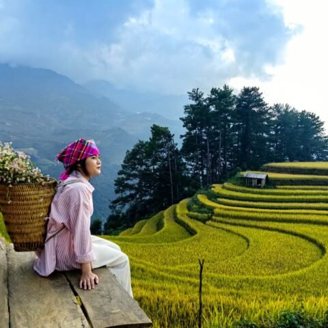 Circuit Nord Vietnam : nature, culture et paysages d'exception