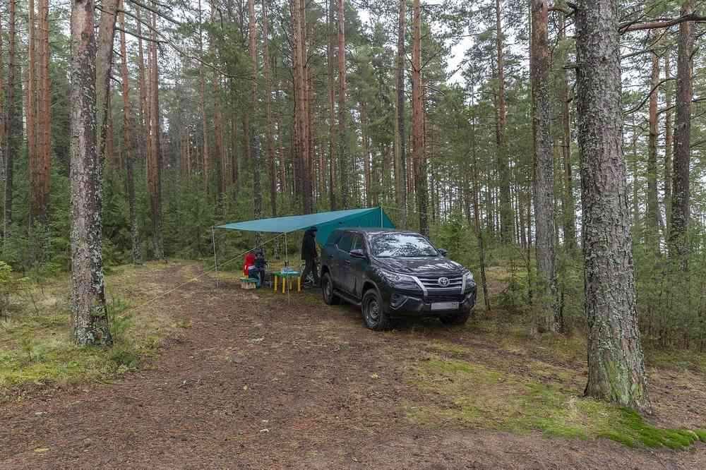 Voiture noire avec auvent bleu déployé en camping forestier entre sapins
