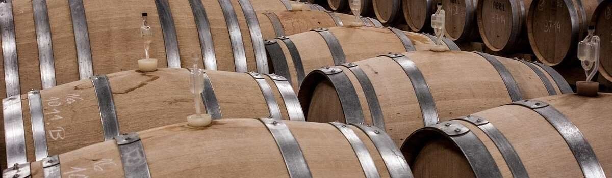 Barils de chêne empilés dans une cave à vin, silencieux