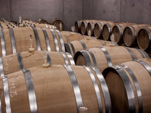 Barils de chêne empilés dans une cave à vin, silencieux