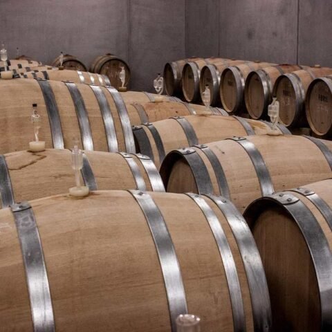 Barils de chêne empilés dans une cave à vin, silencieux